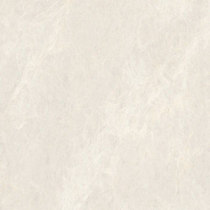 象牙玉蘭產(chǎn)品圖